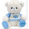 Oso De Peluche