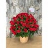 Arreglo Floral 109