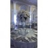 Evento 24