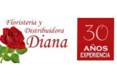 Floristeria Diana 93